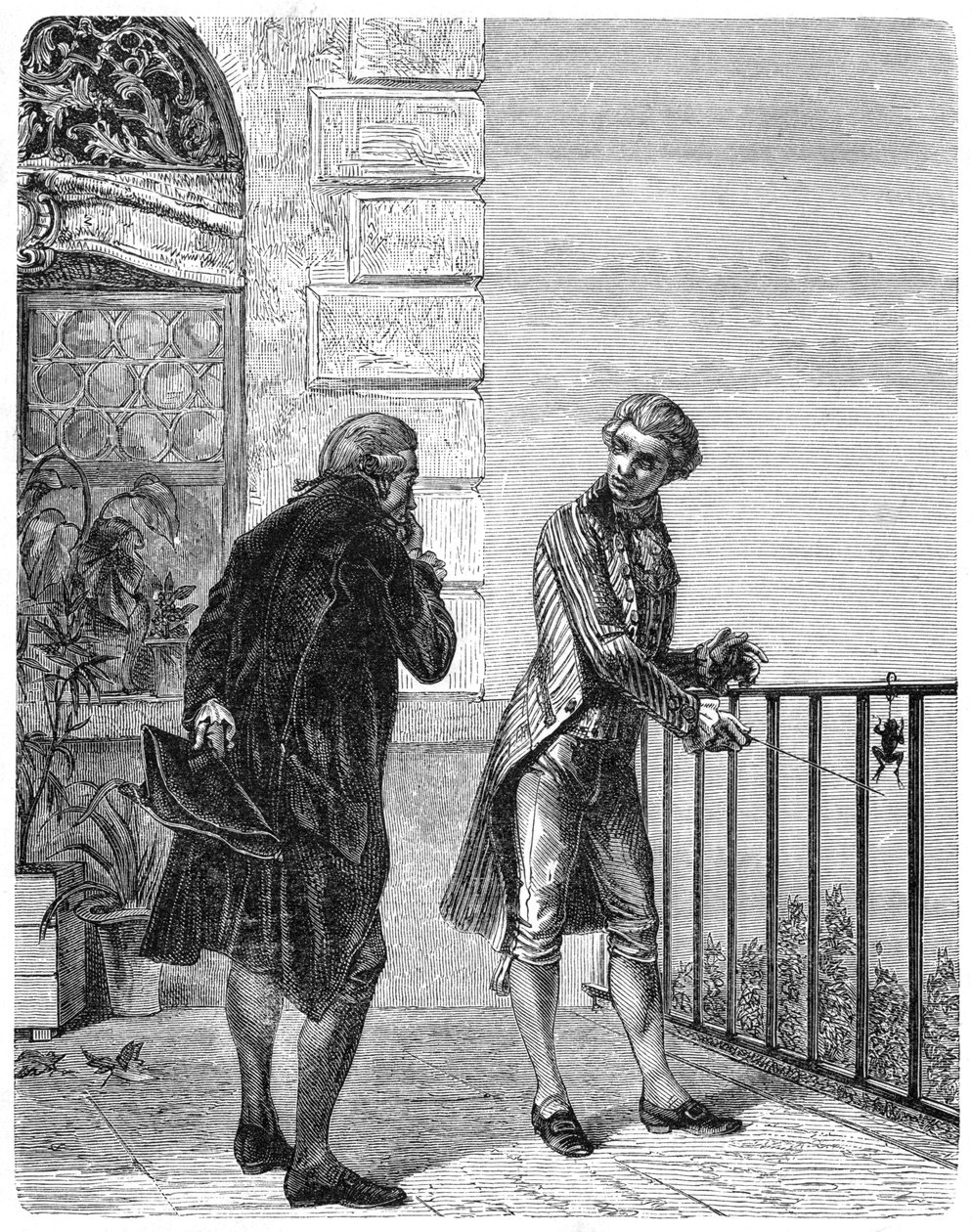 Luigi Galvani, 18e-eeuwse Italiaanse fysioloog, 1880 door Unbekannt