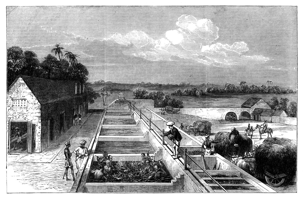 Indigo vervaardigen in Tirhoot Muzaffarpur, Neder-Bengalen, 1869 door Unbekannt