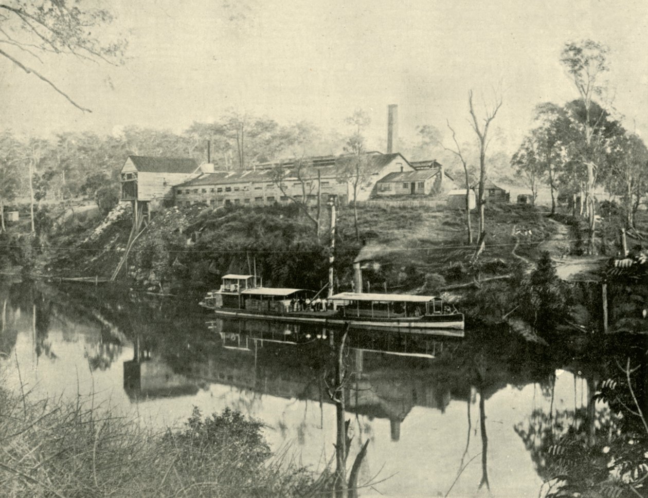 Vleesfabriek, nabij Grafton, New South Wales, 1901 door Unbekannt