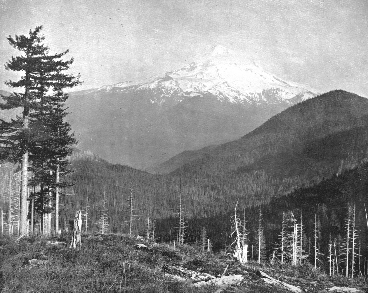 Mount Hood, Oregon, VS, ca. 1900 door Unbekannt