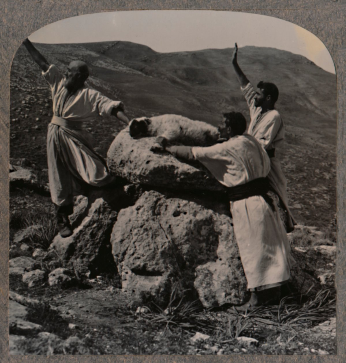 Offerlam op het altaar, Moreh, ca. 1900 door Unbekannt