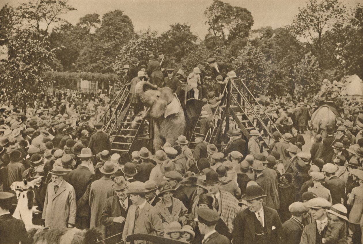Een van de tekenen van onze beschaving: goed gevulde dierentuinen om de nieuwsgierigen te verrassen, ca. 193 door Unbekannt