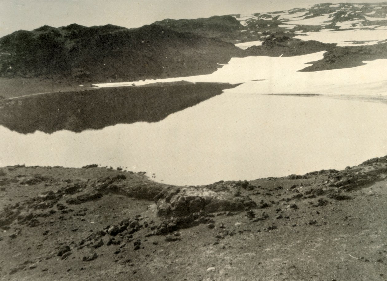 Open water bij Green Lake in de zomer, 1908, 1909 door Unbekannt