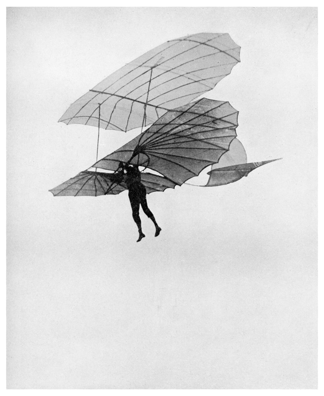 Otto Lilienthal maakt een van zijn laatste vluchten, 1896 1956 door Unbekannt