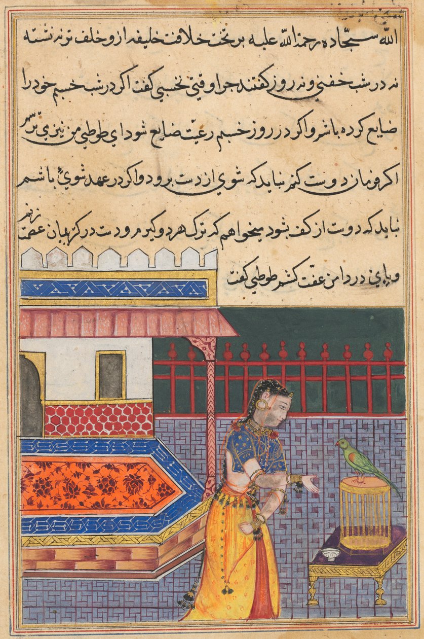 Pagina uit Verhalen van een papegaai Tuti-nama: Eenenveertigste nacht: De papegaai spreekt Khujasta toe..., c. 156 door Unbekannt