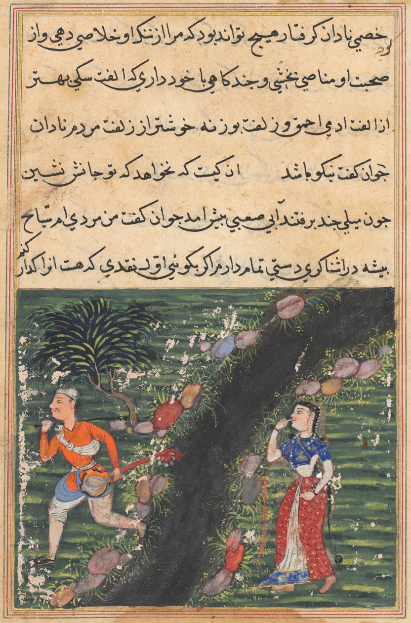 Pagina uit Verhalen van een papegaai Tuti-nama: Zestiende nacht: De zwerver steekt over..., ca. 1560 door Unbekannt