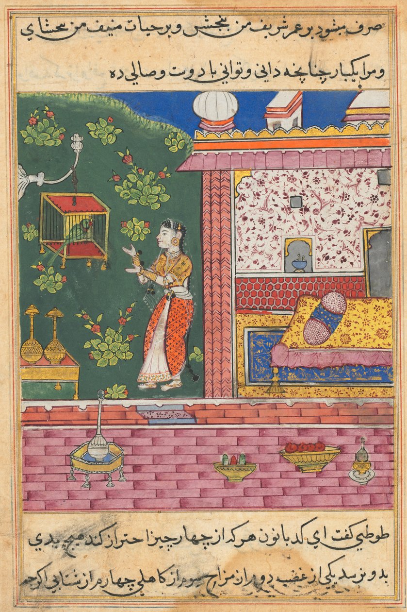 Pagina uit Verhalen van een papegaai Tuti-nama: Dertigste nacht: De papegaai spreekt Khujasta toe..., ca. 1560 door Unbekannt