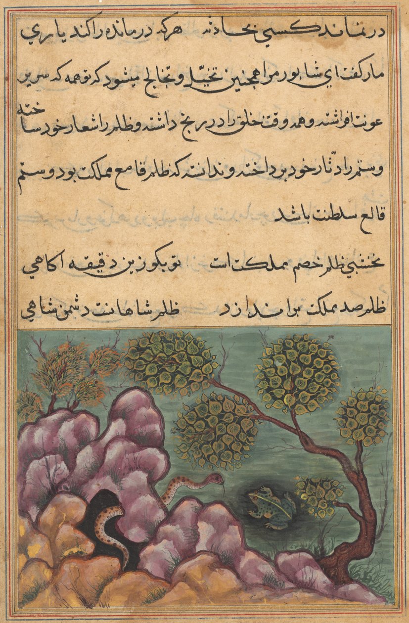 Pagina uit Verhalen van een Papegaai Tuti-nama: Zesentwintigste nacht: De afgezette kikker..., ca. 1560 door Unbekannt