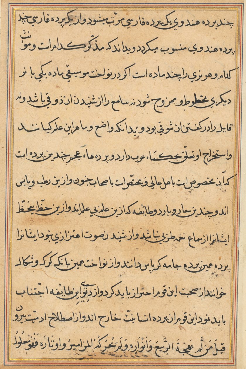 Pagina uit Verhalen van een papegaai Tuti-nama: tekstpagina, ca. 1560 door Unbekannt