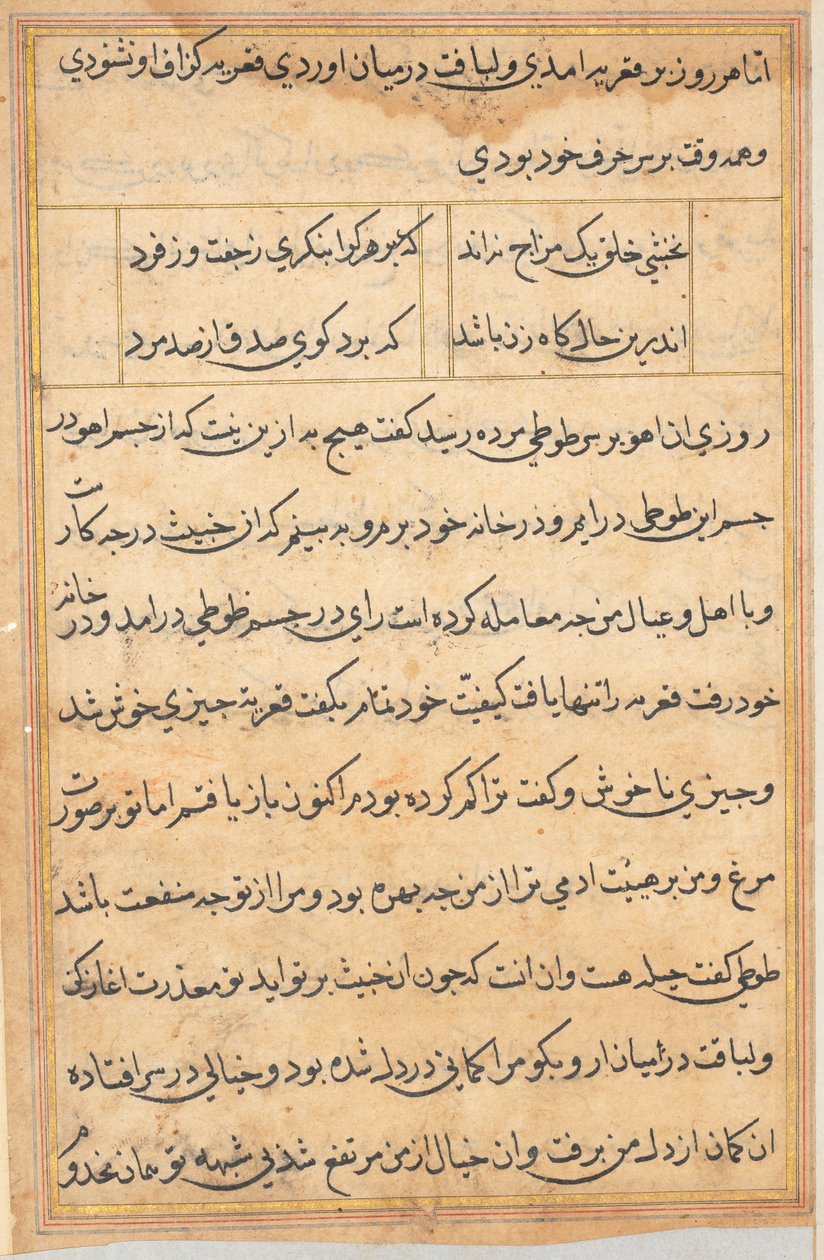 Pagina uit Verhalen van een Papegaai Tuti-nama: tekstpagina, ca. 1560 door Unbekannt