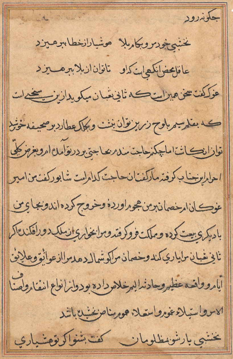 Pagina uit Verhalen van een papegaai Tuti-nama: tekstpagina, ca. 1560 door Unbekannt