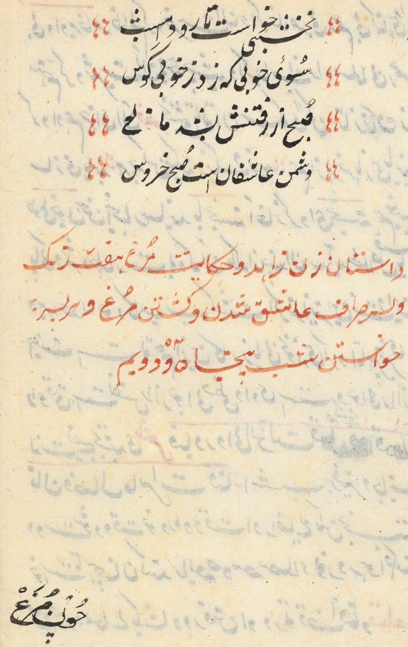 Pagina uit Verhalen van een Papegaai Tuti-nama: tekstpagina, ca. 1560 door Unbekannt