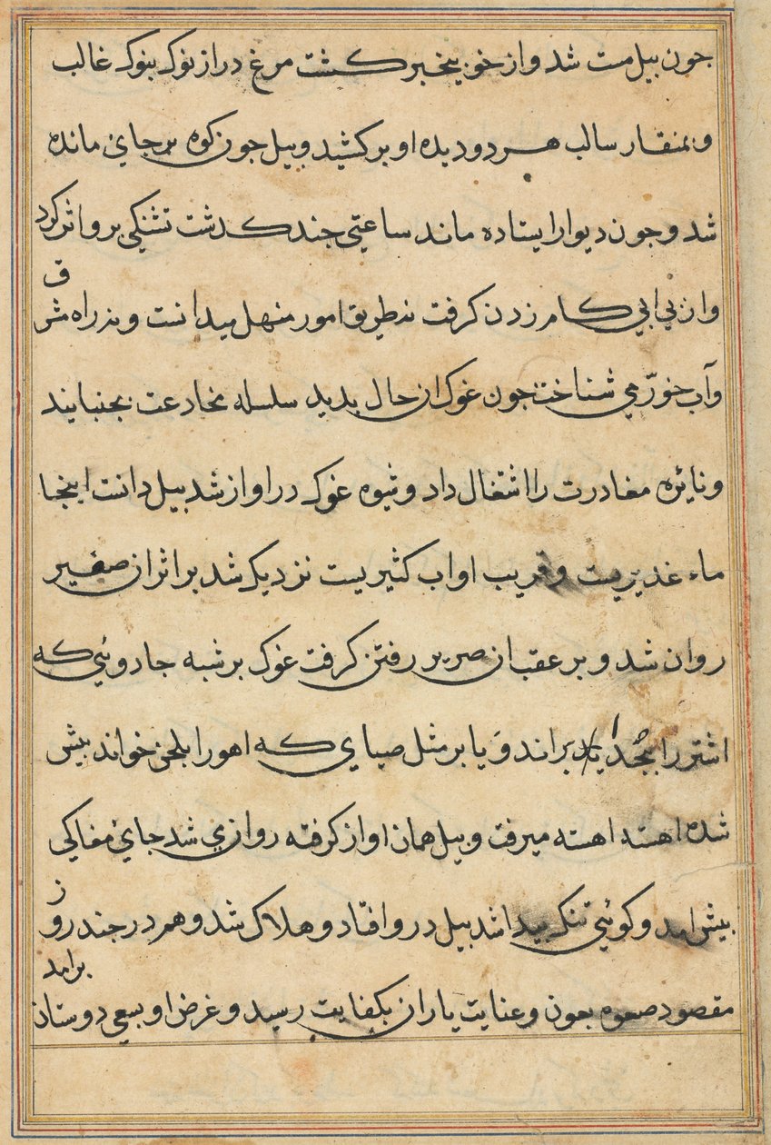 Pagina uit Verhalen van een papegaai Tuti-nama: tekstpagina, ca. 1560 door Unbekannt