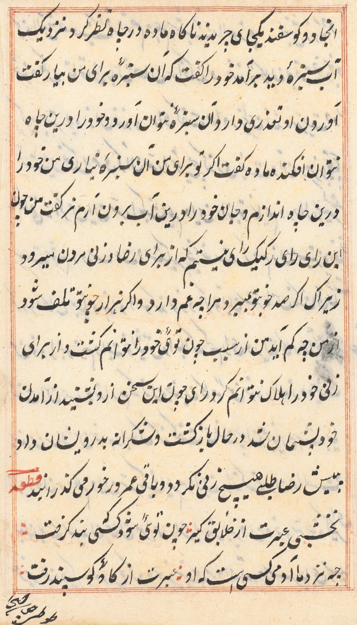 Pagina uit Verhalen van een papegaai Tuti-nama: tekstpagina, ca. 1560 door Unbekannt