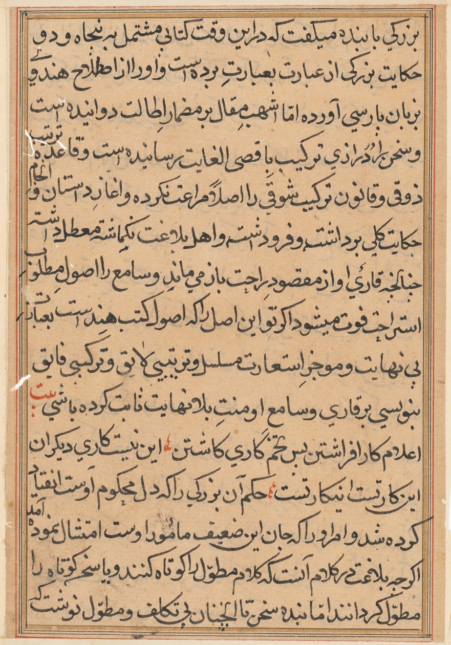 Pagina uit Verhalen van een papegaai Tuti-nama: tekstpagina, c. 1560 door Unbekannt