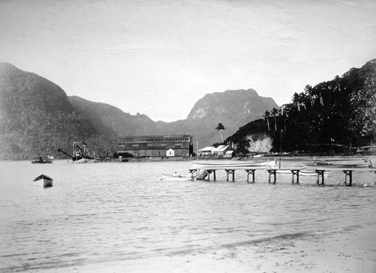 Haven van Pago Pago, op het eiland Tutuila, Amerikaans Samoa, 1889 door Unbekannt