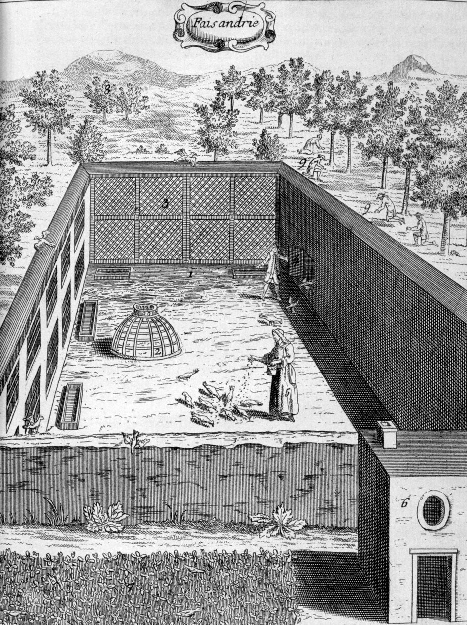Fazanterie, 1775 door Unbekannt