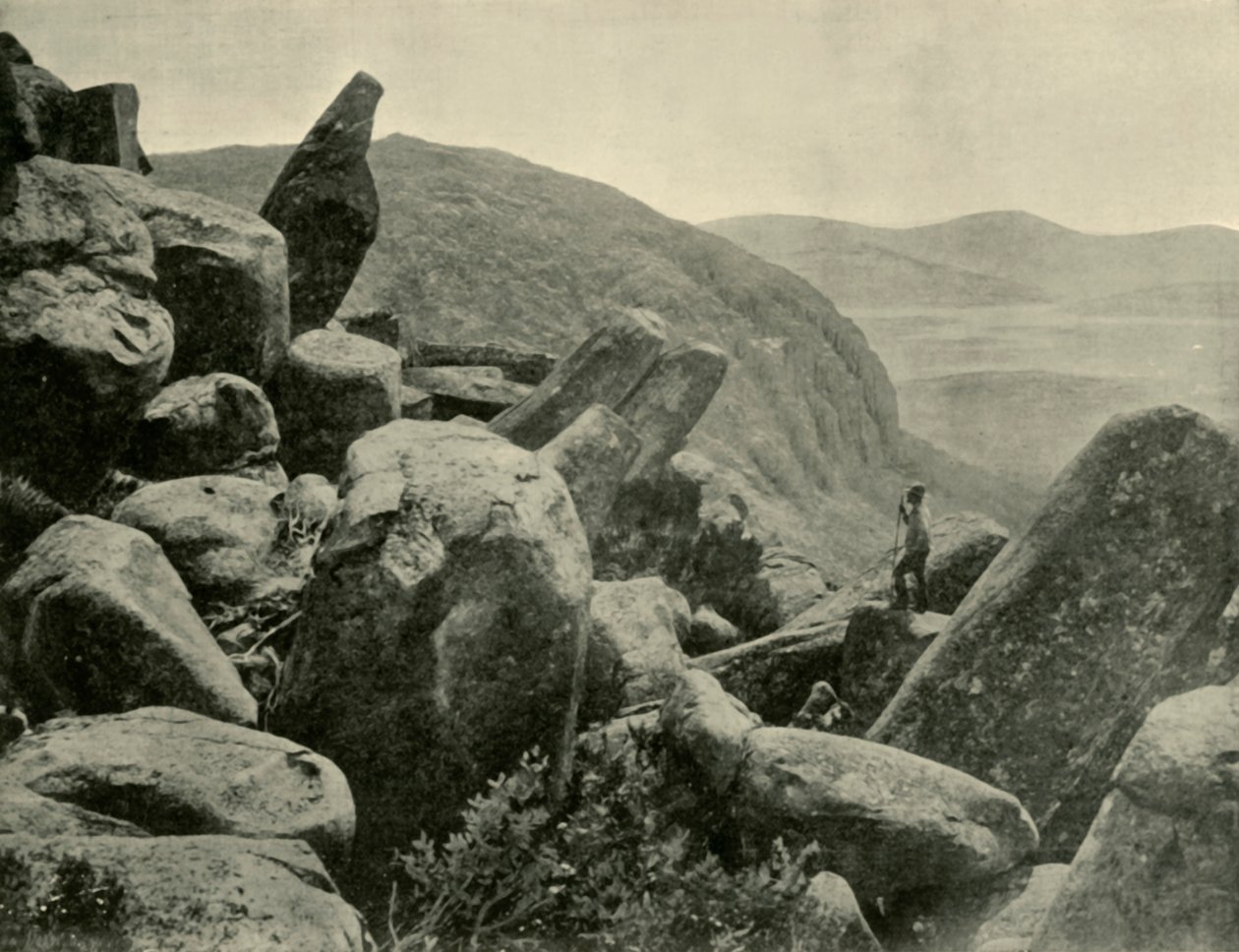 Pinnacle & Orgelpijpen, Mount Wellington, 1901 door Unbekannt