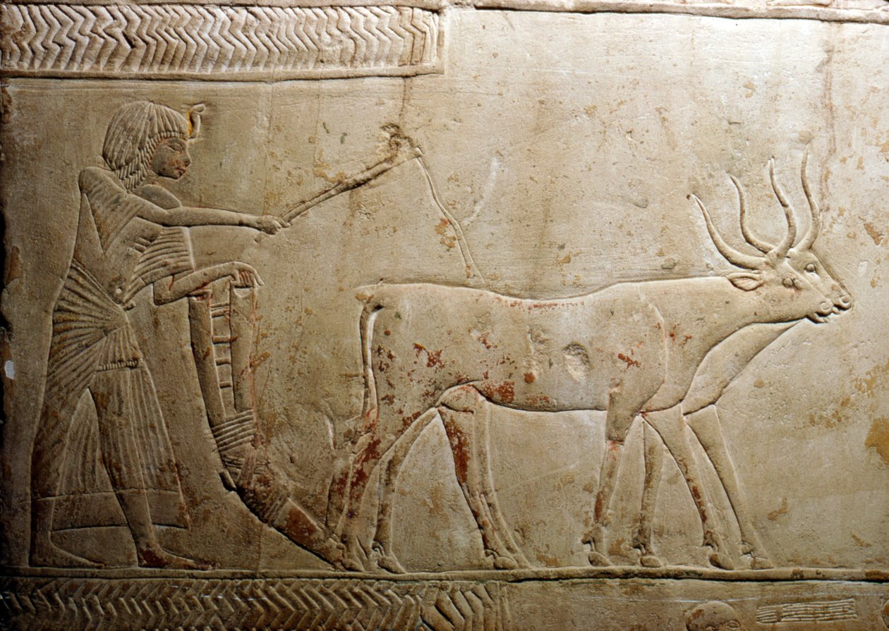 Ploegen van een Egyptische stele, 18e dynastie, 1332 v.Chr.-1323 v.Chr. door Unbekannt