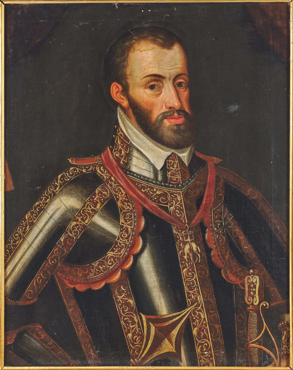 Portret van Ferdinand II, Aartshertog van Oostenrijk door Unbekannt