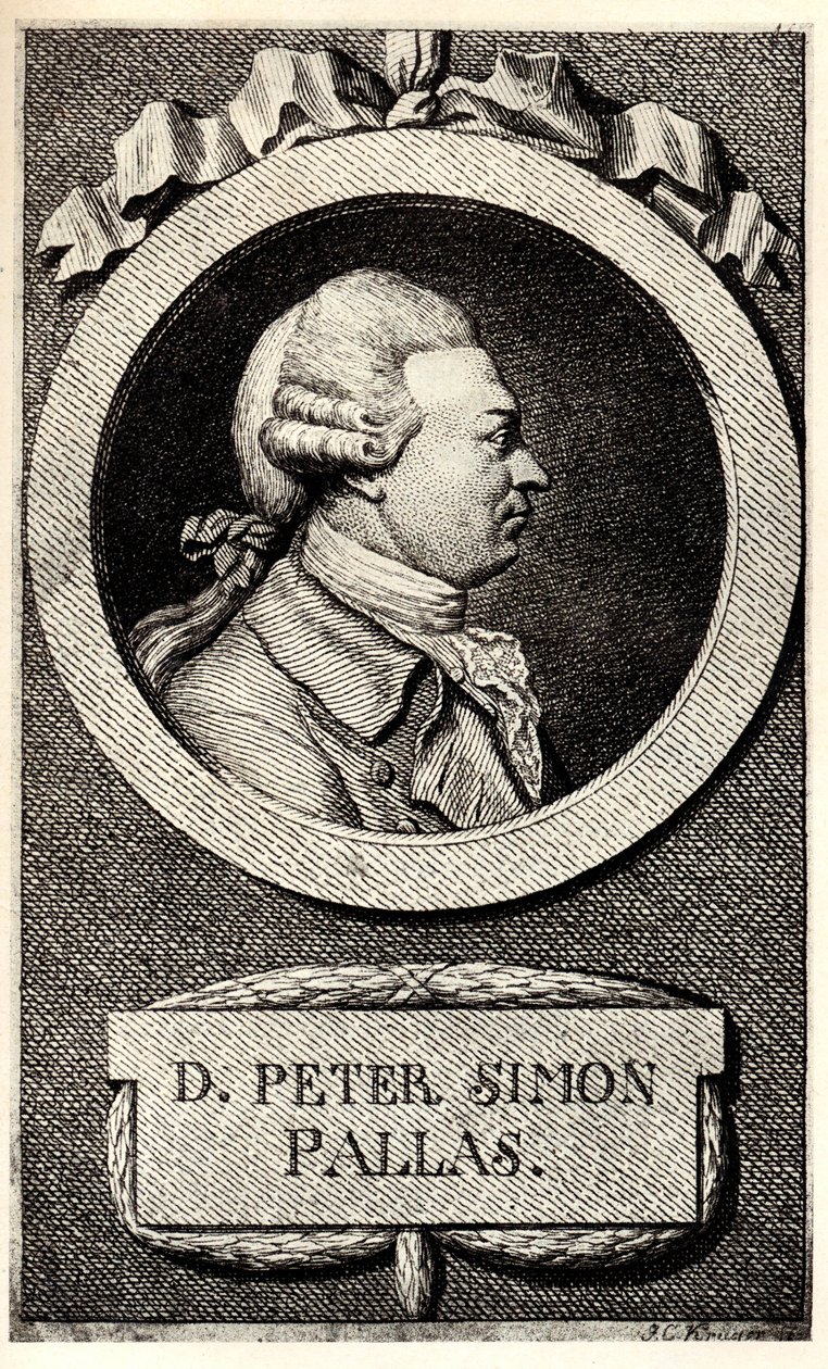 Portret van de zoöloog en botanicus Peter Simon Pallas 1741-1811, begin 19e eeuw door Unbekannt