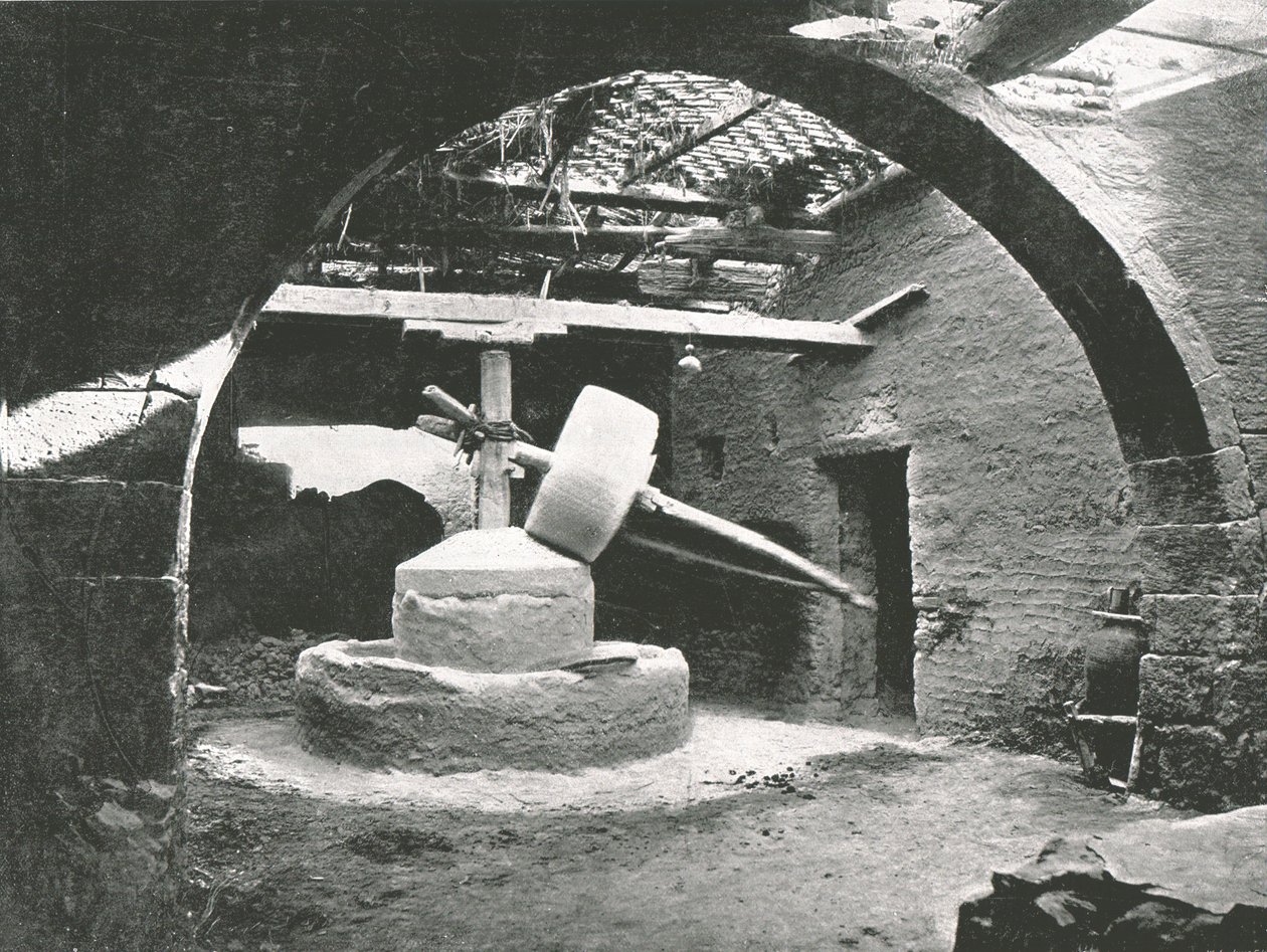 Primitieve korenmolen, Nijldelta, Egypte, 1895 door Unbekannt