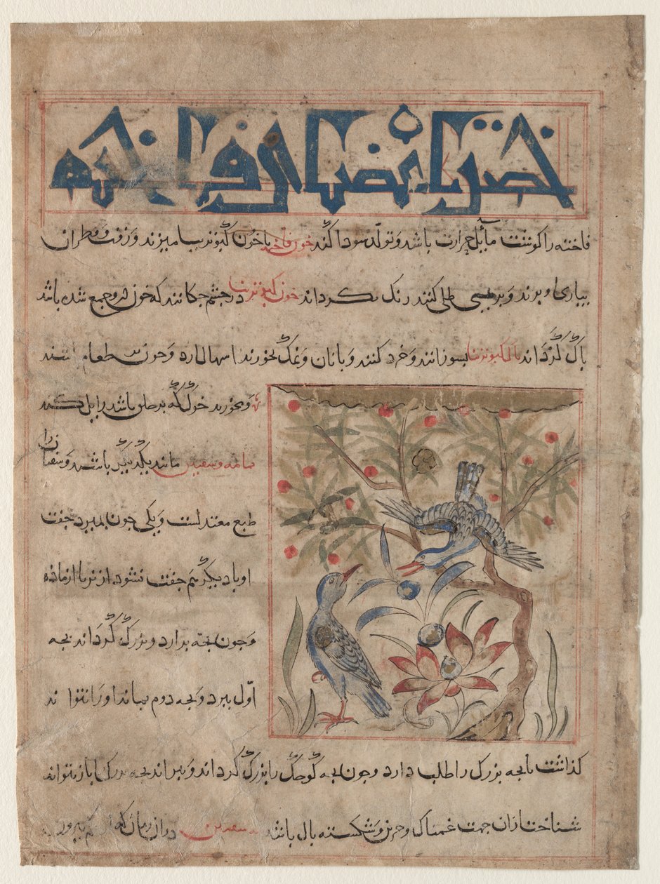 Eigenschappen van ringduiven recto, over de voordelen van kwartels verso..., ca. 1300 door Unbekannt
