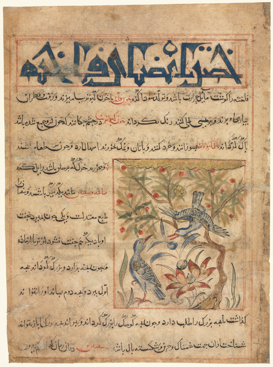Eigenschappen van Ringduiven recto uit een Manafi al-Hayawan Over het Nut van Dieren, ca. 1300 door Unbekannt