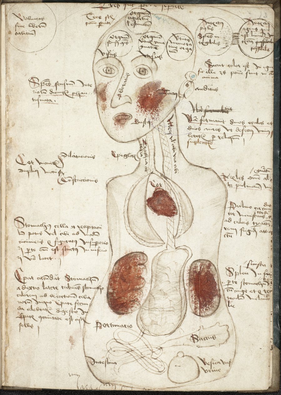 Weergave van een Aristoteliaanse Theorie van Bewustzijn Uit: De corpore et anima door Unbekannt