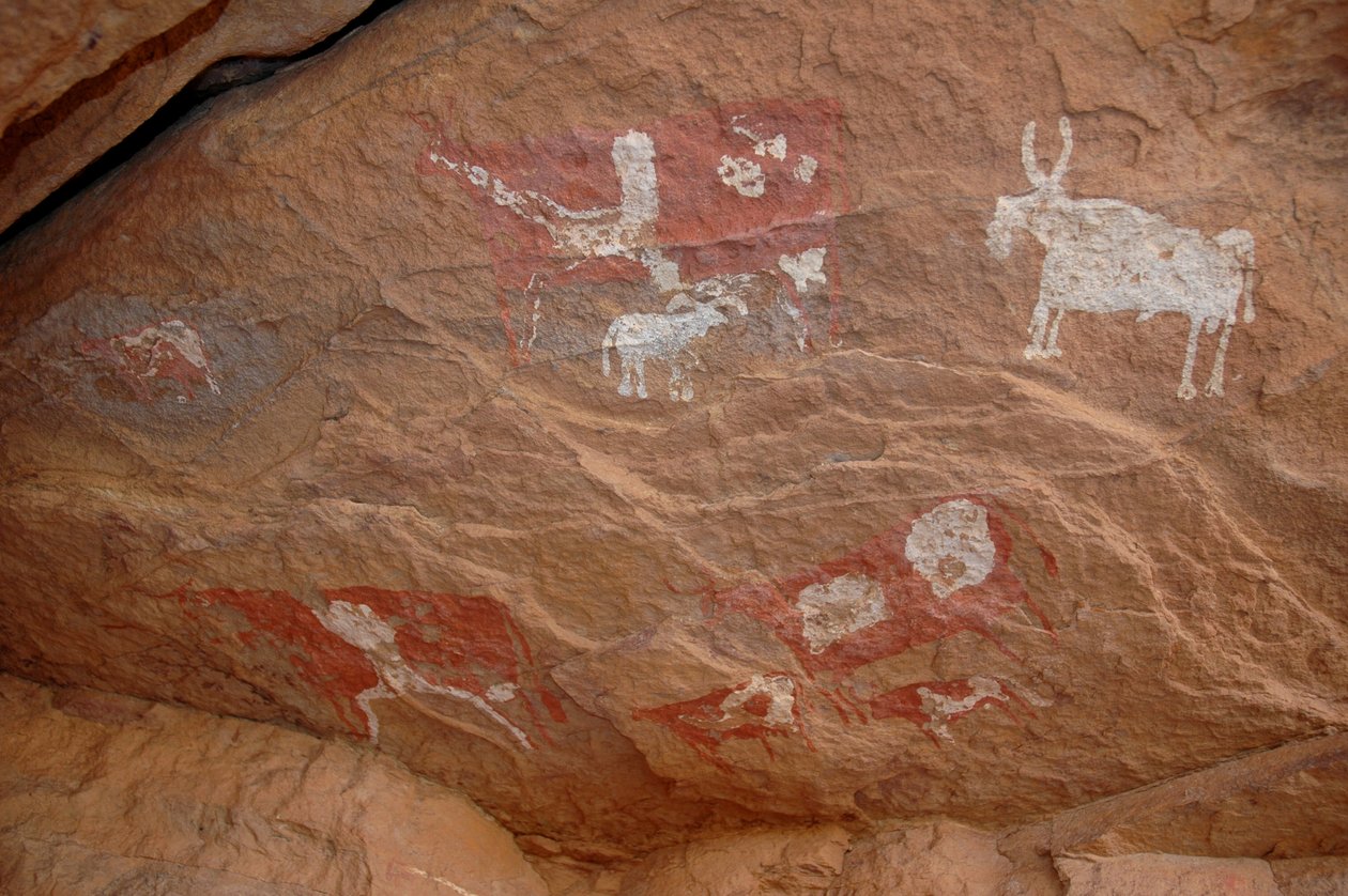 Rotstekeningen, Prehistorie: Schildering van een groep vee en schapen in een versierd onderkomen, in het Uweinat massief, Soedan door Unbekannt