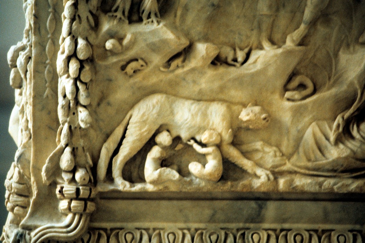 Romulus en Remus die zogen bij de wolvin door Unbekannt