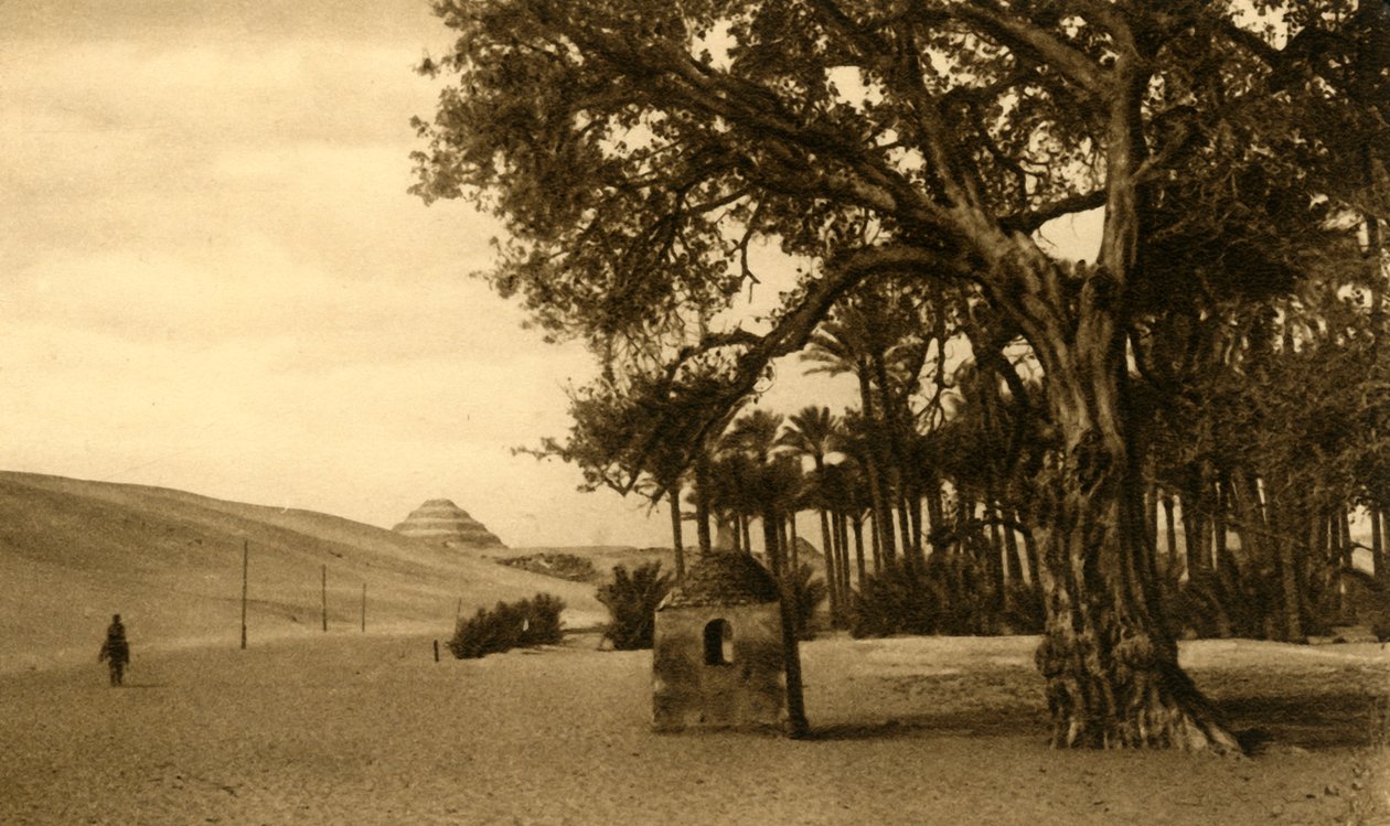 Saqqara - De trappiramide gezien vanaf de Sycomore, ca. 1918-ca. 1939 door Unbekannt