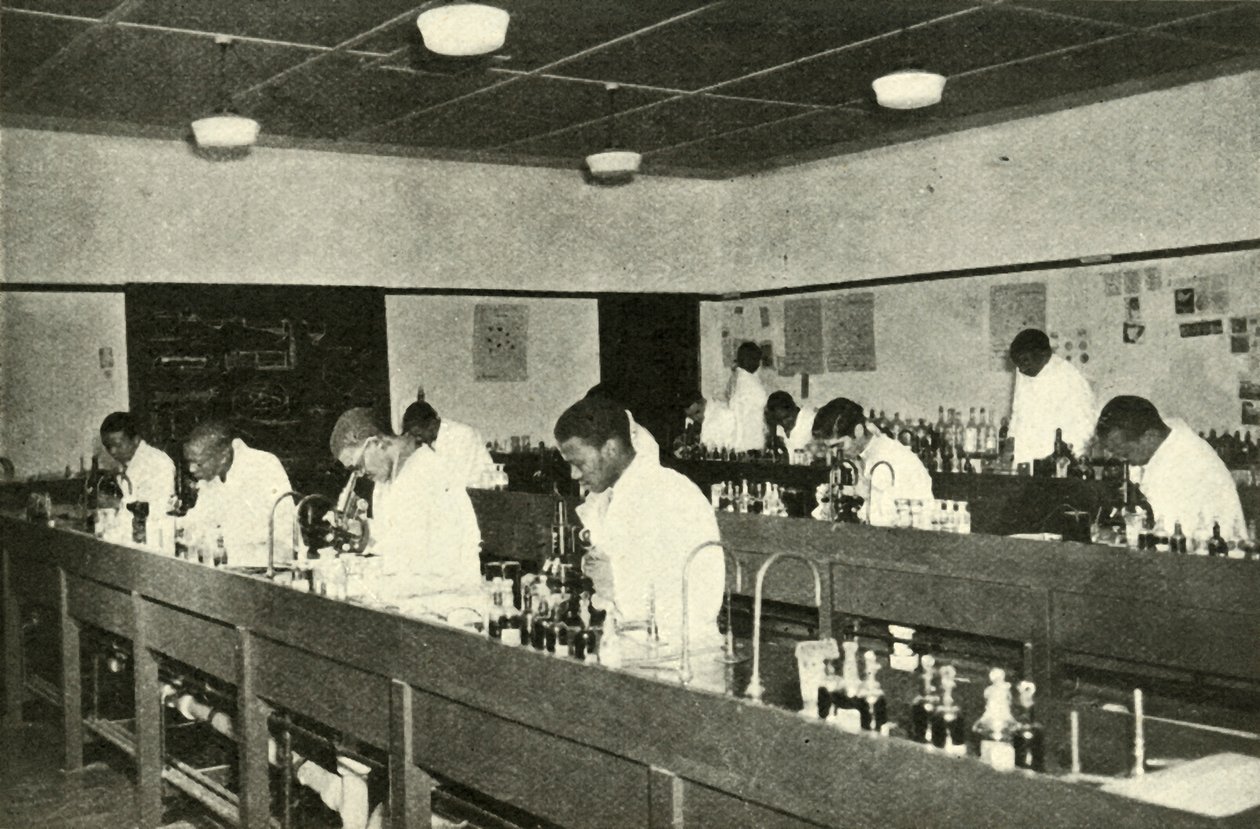Scènes in een inheems college - Studenten bacteriologie aan het Fort Hare Native College in Alice door Unbekannt