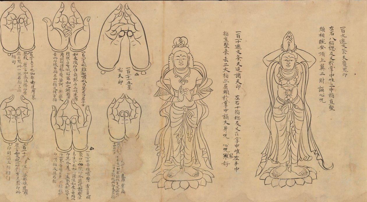Rol van Mudra