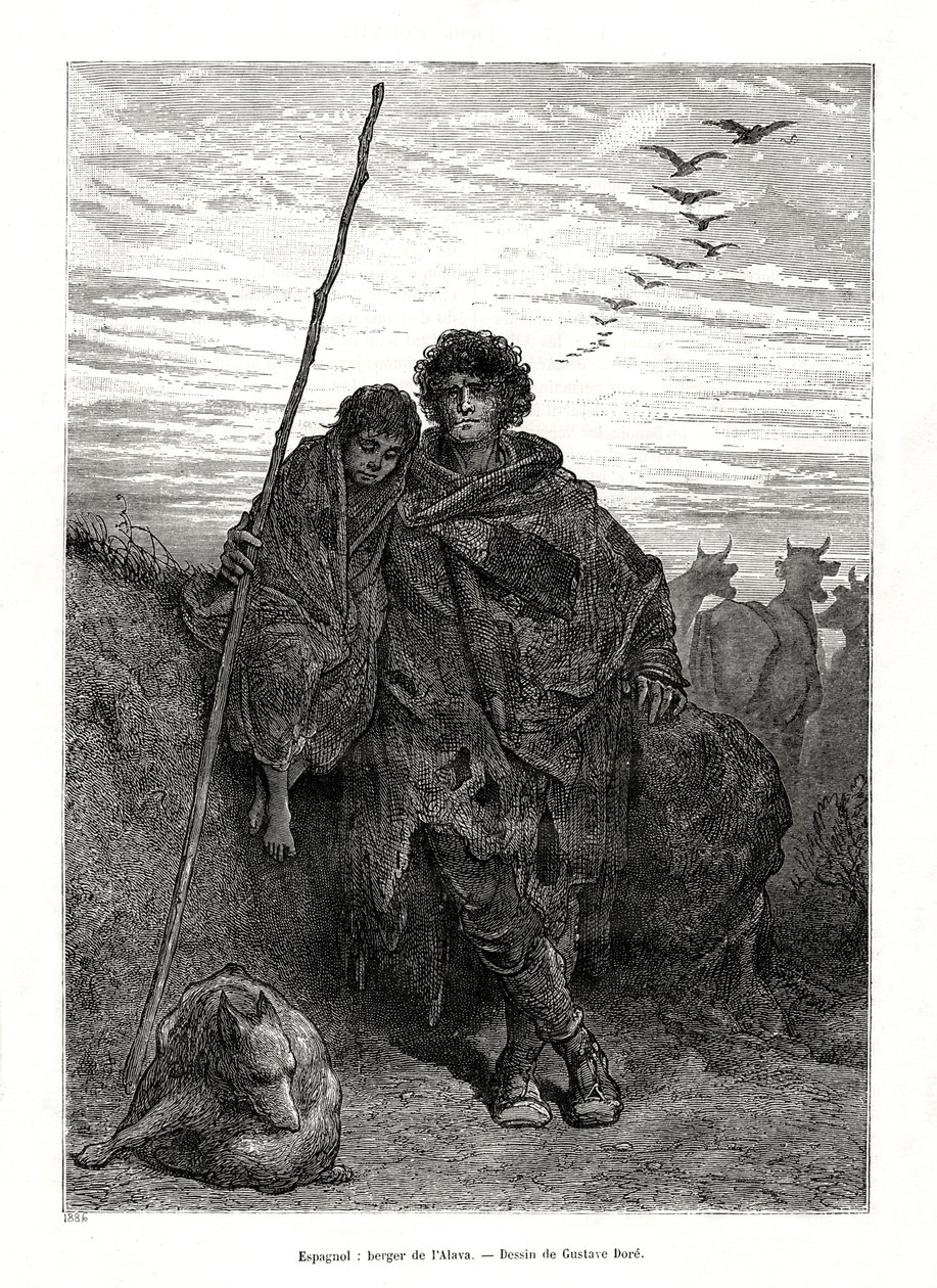 Herder van Alava, Spanje, 1886 door Unbekannt