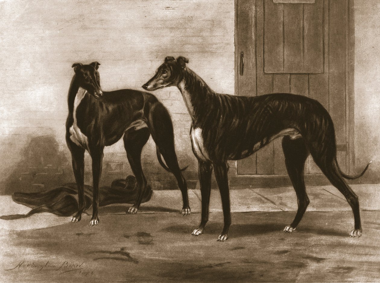 Simonian en Fullerton, c1891, 1911 door Unbekannt