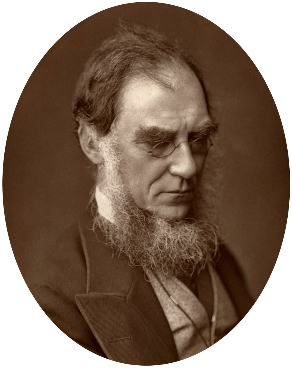 Sir Joseph Dalton Hooker, Directeur van de Koninklijke Tuinen in Kew, 1881 door Unbekannt