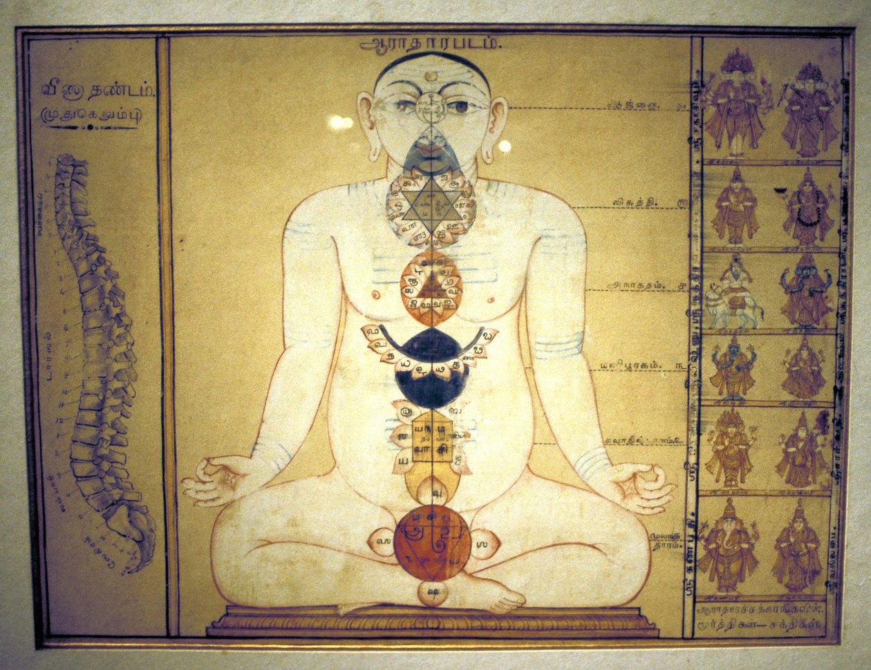 Zes Chakra