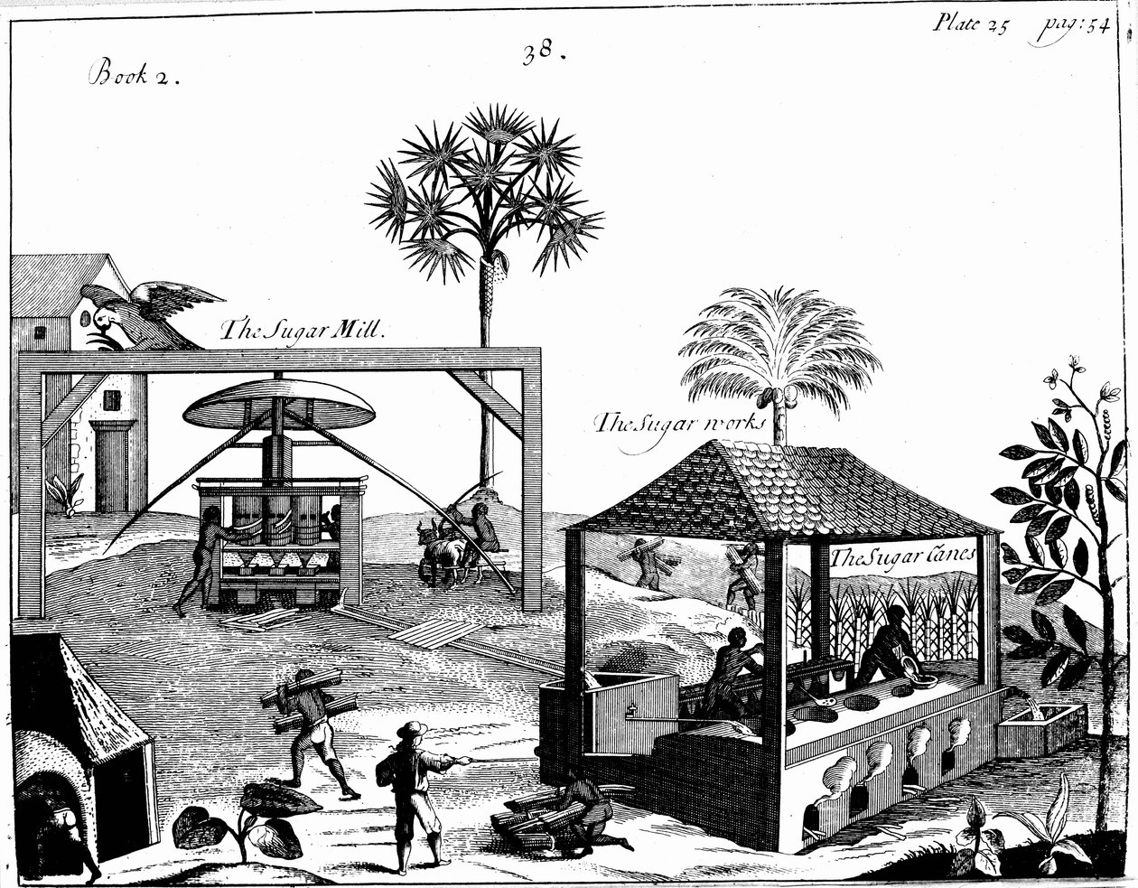 Slavenarbeid op een suikerplantage in West-Indië, 1725 door Unbekannt