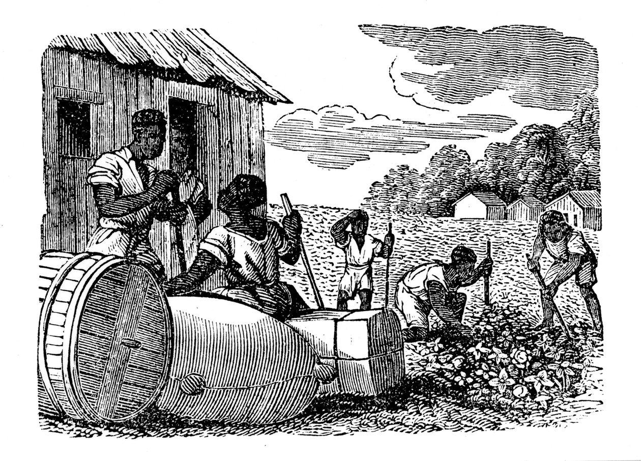 Slaven die werken op een tabaksplantage, 1833 door Unbekannt