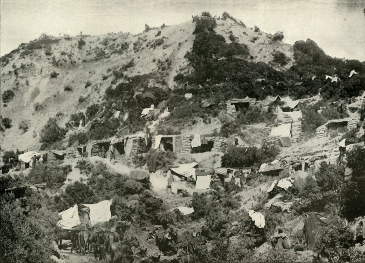 De Britse Troepen op het Gallipoli-schiereiland door Unbekannt