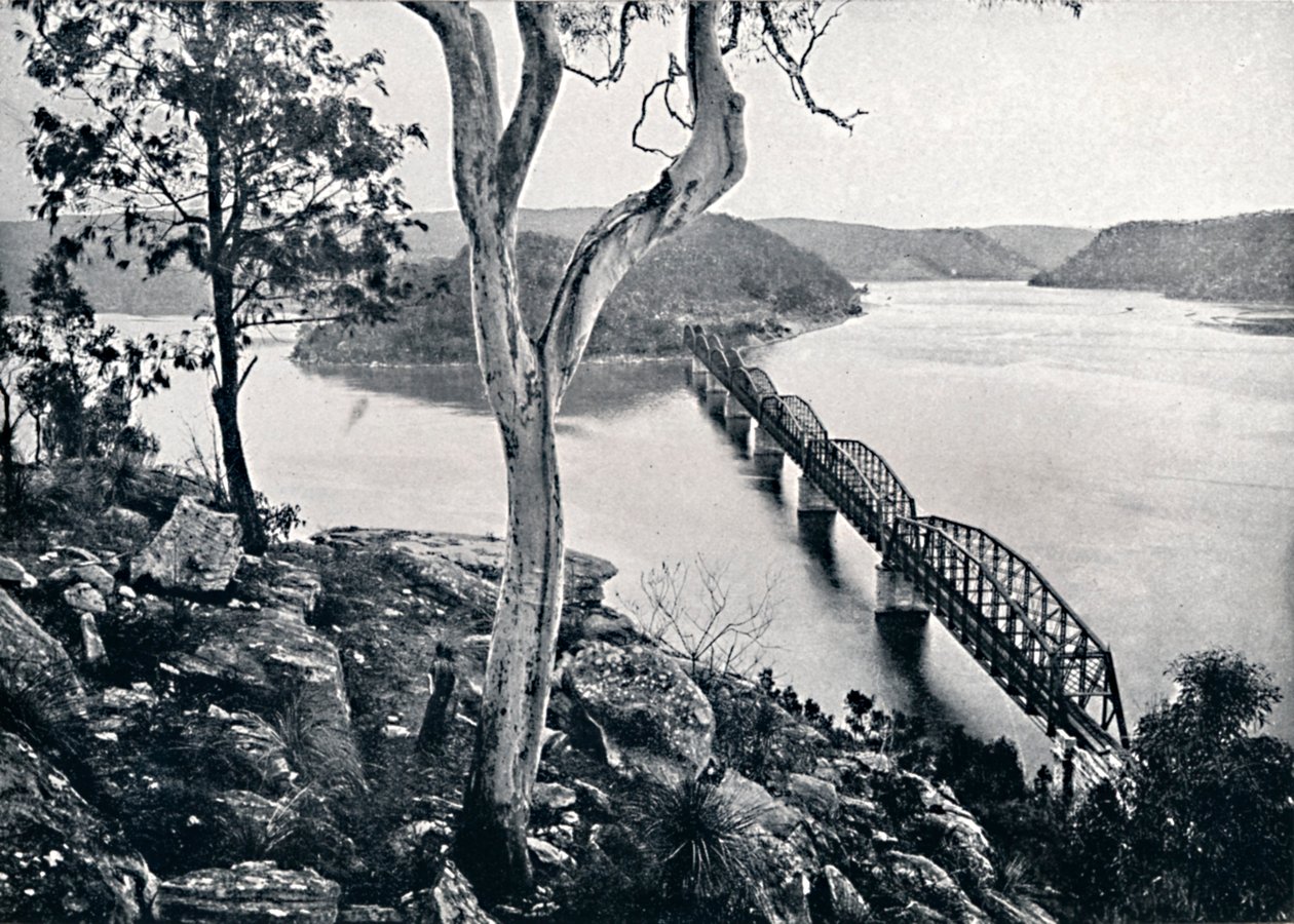 De Hawkesbury-rivier en brug, ca. 1900 door Unbekannt