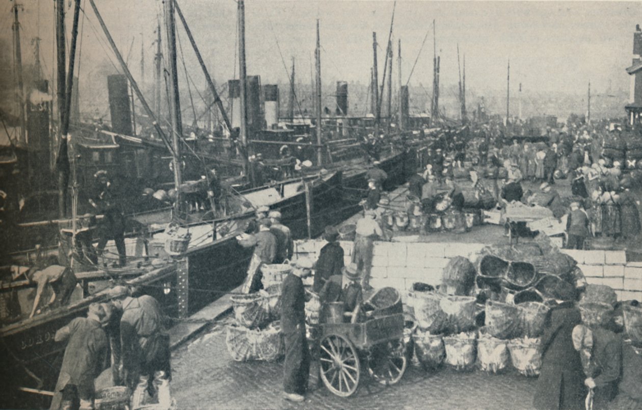 Het haringseizoen in volle gang, 1937 door Unbekannt