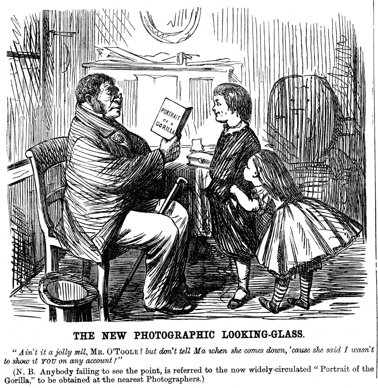 De nieuwe fotografische spiegel, cartoon uit Punch, dagelijks bewijs van de oorsprong van de mens, 1861 door Unbekannt