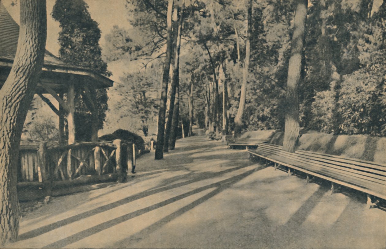 De dennenwandeling, 1929 door Unbekannt