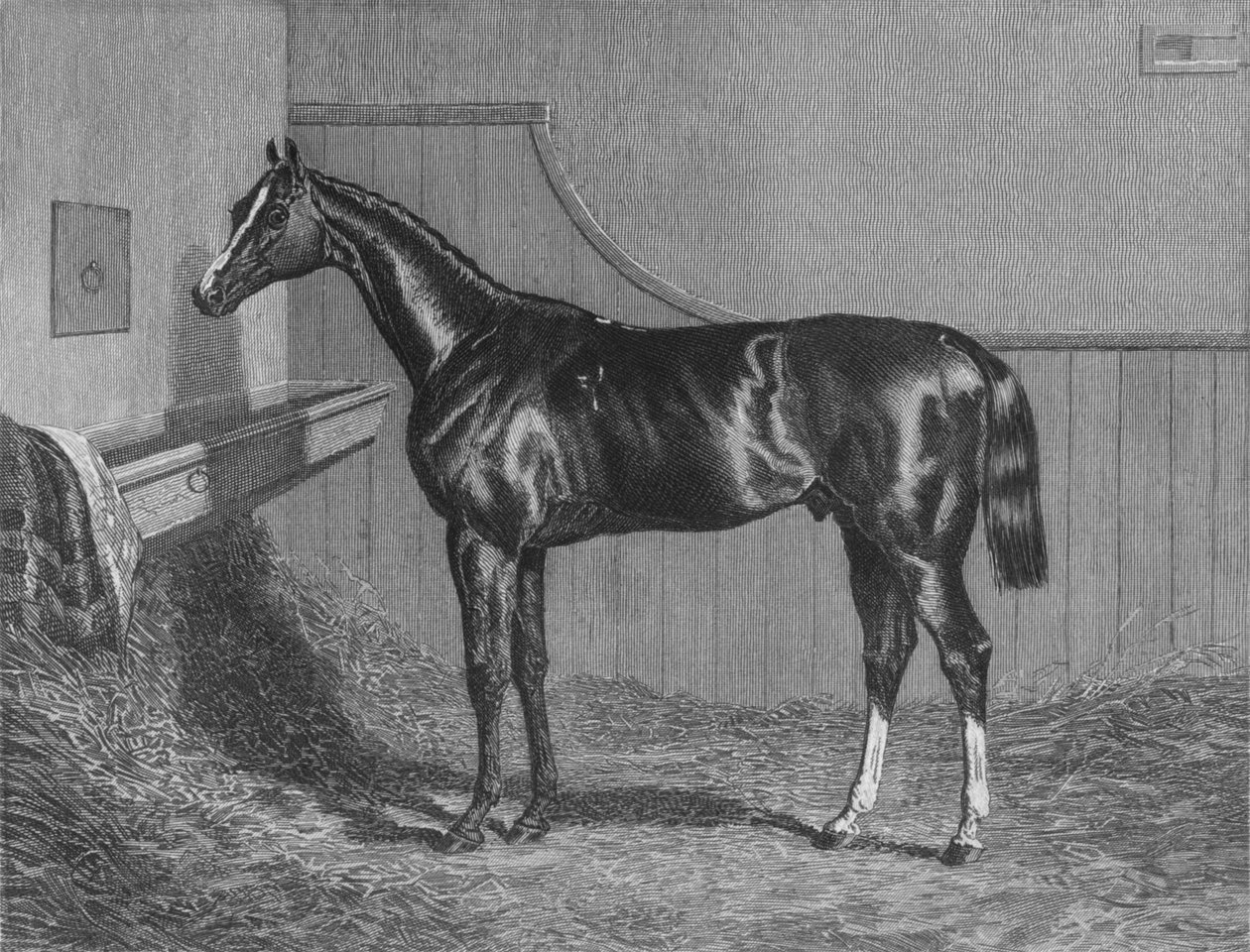 De Rt. Hon. De Graaf van Lichfields Elis. Winnaar van de St. Leger 1836, 1911 door Unbekannt