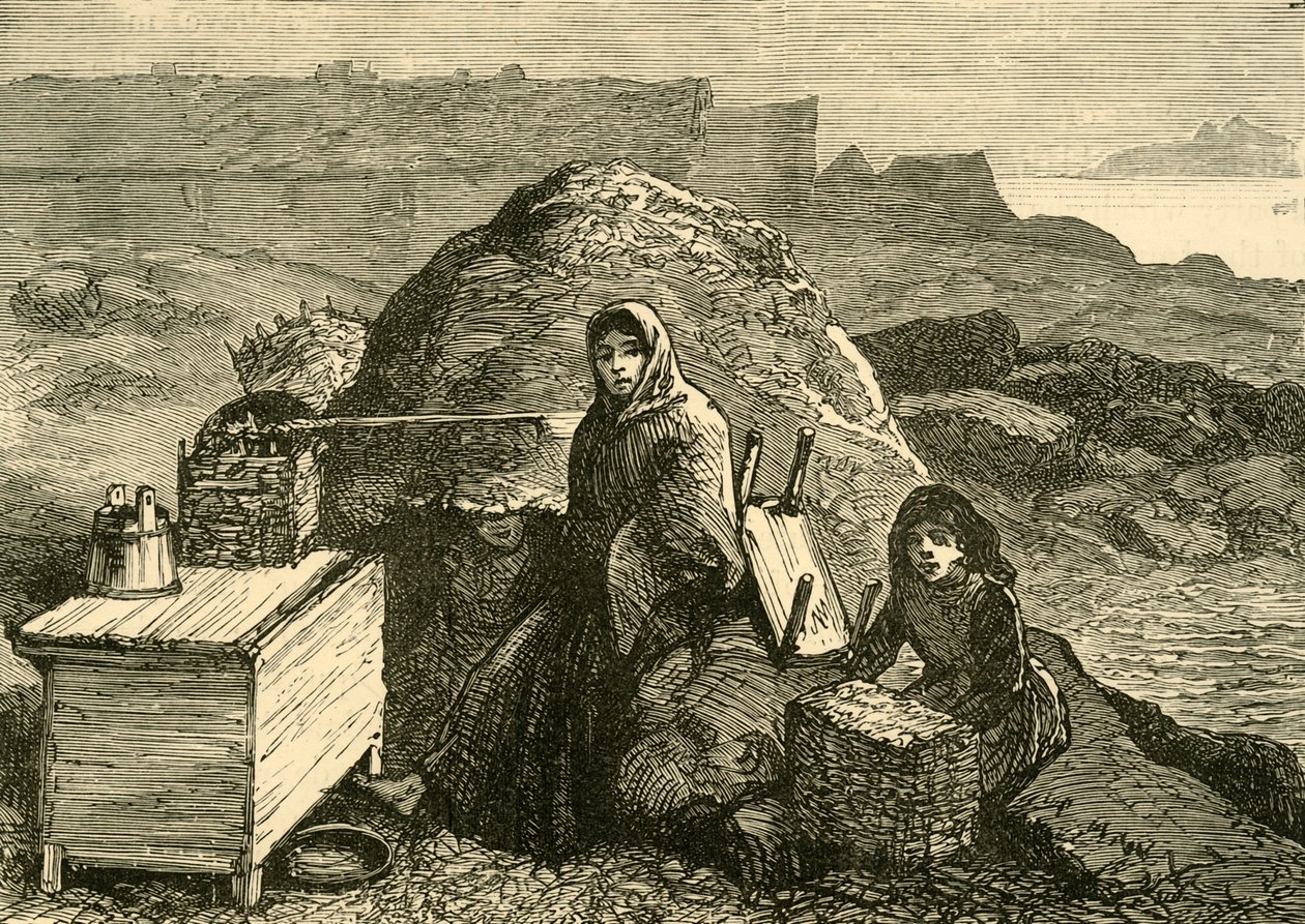 De staat van Ierland: Een uitgezette familie nabij Errismore, ca. 1880 door Unbekannt