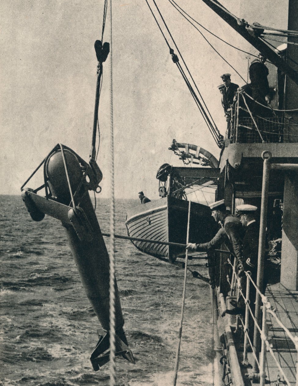 De haai-vormige paravaan, 1943 door Unbekannt