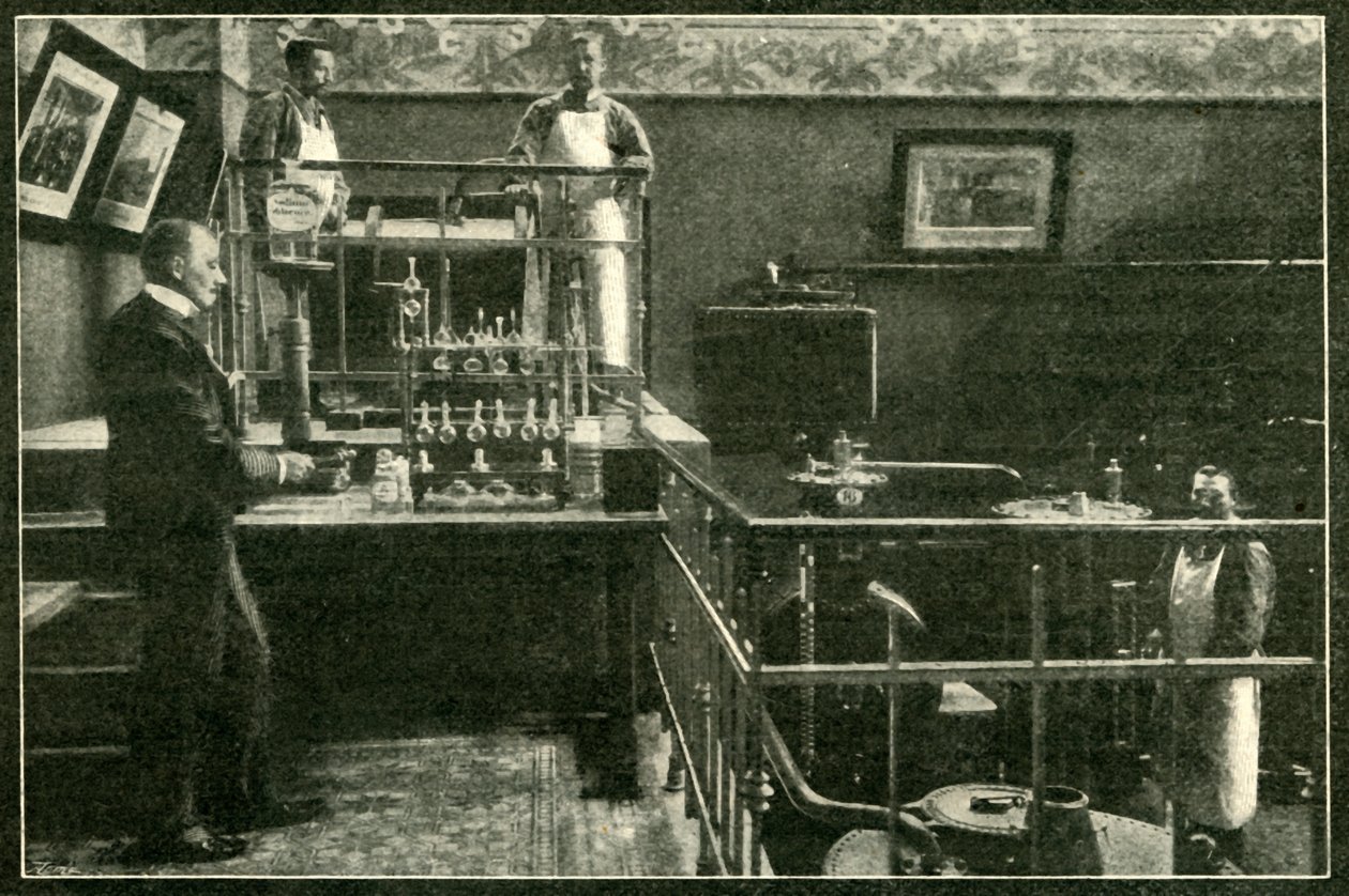 Er zijn geen gifschrikken in de heerschappijen van de tsaar, 1901 door Unbekannt