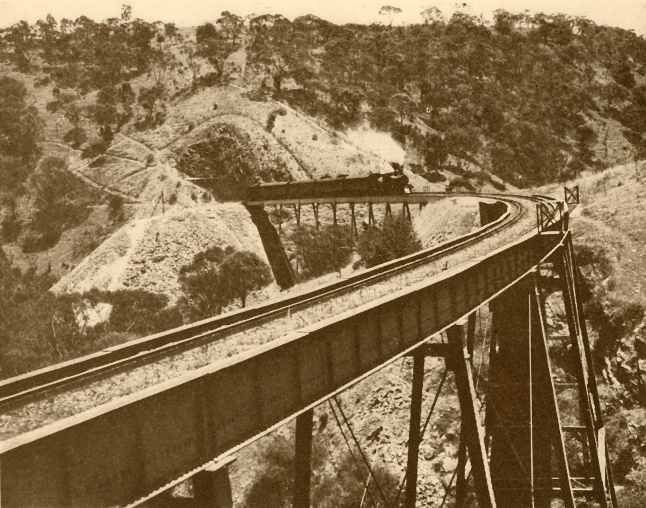 Trein die over viaduct passeert, Mount Lofty Range, Zuid-Australië, 1930 door Unbekannt